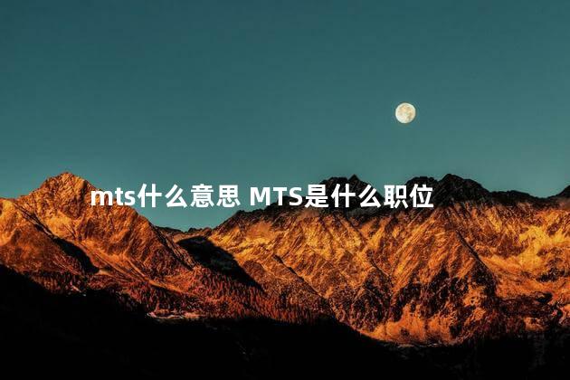 mts什么意思 MTS是什么职位